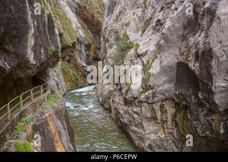 Ingresso del sentiero escursionistico Ruta del Cares lungo il fiume si prende cura di Caino, Parco Nazionale Picos de Europa, Leon, Spagna. Foto Stock