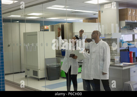Gli scienziati la scrittura della nota sulla parete di vetro Foto Stock