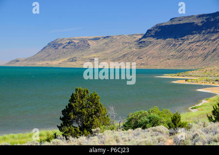 Il lago di Abert, quartiere Lakeview Bureau of Land Management, Oregon Foto Stock