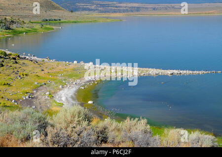 Il lago di Abert, quartiere Lakeview Bureau of Land Management, Oregon Foto Stock