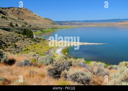 Il lago di Abert, quartiere Lakeview Bureau of Land Management, Oregon Foto Stock