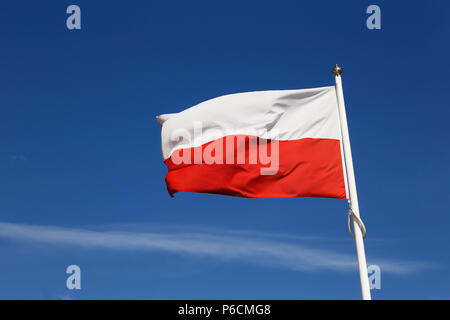 La bandiera polacca contro un cielo blu. Foto Stock