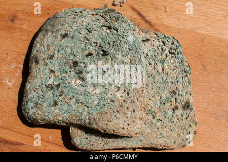 Fette di muffa di grani closeup il pane sulla tavola di legno sfondo Foto Stock