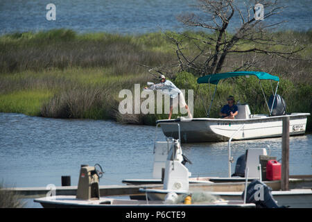 Stati Uniti: Giugno 28, 2018: i pescatori gettato un esca net mentre la pesca su Ocracoke Island, North Carolina. Foto Stock