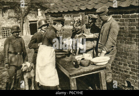 La prima guerra mondiale, cane ospedale, ww1, la prima guerra mondiale, la prima guerra mondiale Foto Stock