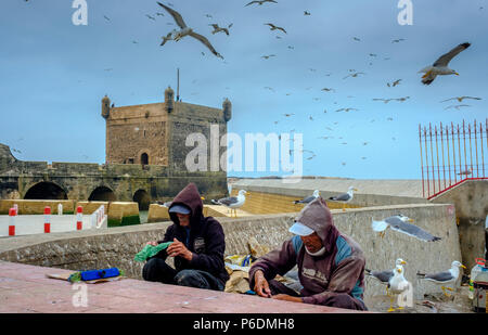 I pescatori eviscerazione del pesce in compagnia porto di Essaouira, Marocco Foto Stock