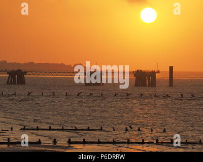 Sheerness, Kent, Regno Unito. Il 29 giugno, 2018. Regno Unito Meteo: il tramonto a Sheerness, Kent. Credito: James Bell/Alamy Live News Foto Stock