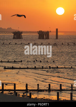 Sheerness, Kent, Regno Unito. Il 29 giugno, 2018. Regno Unito Meteo: il tramonto a Sheerness, Kent. Credito: James Bell/Alamy Live News Foto Stock