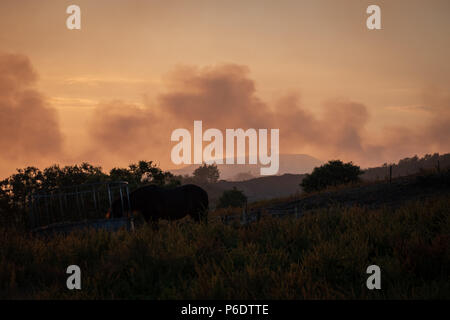 West Pennine Moors , REGNO UNITO, 29 giugno 2018. Rivington Pike può essere chiaramente visto attraverso il fumo di incendi sulla collina di inverno e su Rivington Pike.Il fumo si è diffuso e ha interessato una vasta area. Foto Stock