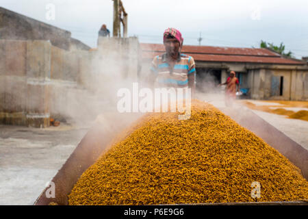 Il riso lavorato viene portato fuori a Ishwardi Upazila, Pabna del distretto di Rajshahi Divisione, Bangladesh. Foto Stock