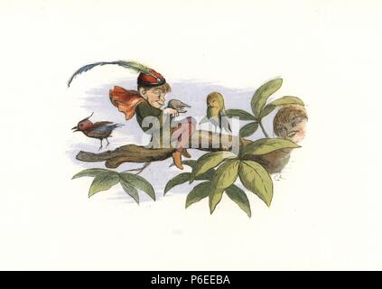 Un elfo teasing un uccellino su un ramo di albero. Handcolored woodblock print da Edmund Evans dopo una illustrazione di Richard Doyle da In Fairyland, una serie di immagini dal mondo Elf, Longman, Londra, 1870. Foto Stock