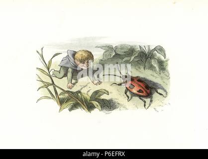 Un elfo sorprendente un coleottero. Handcolored woodblock print da Edmund Evans dopo una illustrazione di Richard Doyle da In Fairyland, una serie di immagini dal mondo Elf, Longman, Londra, 1870. Foto Stock