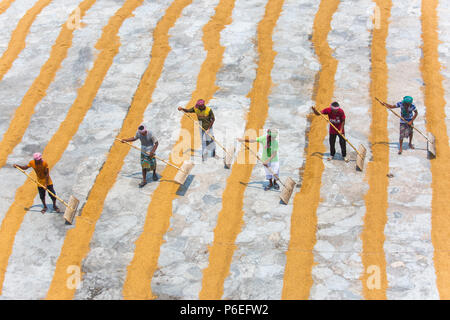 Riso tradizionale mulino lavoratore capovolgere paddy per essiccare al sole in Ishwardi Upazila, Pabna del distretto di Rajshahi Divisione, Bangladesh. Foto Stock