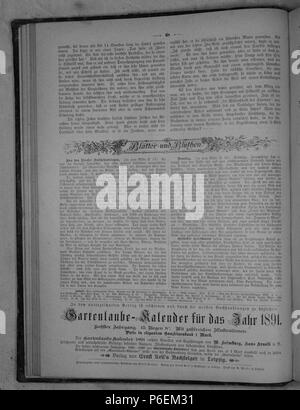 . Die Gartenlaube. Deutsch: Seite 68 aus 'Die Gartenlaube'. Inglese: pagina 68 da ufficiale Die Gartenlaube per 1891. Immagine estratta (eventuale): File:Die Gartenlaube (1891) b 068.jpg - hi res, 2,5 MB. Deutsch: keine Bildunterschrift inglese: nessuna didascalia . N/A 13 Die Gartenlaube (1891) 068 Foto Stock
