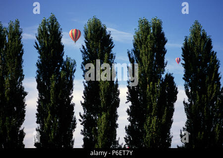 I palloni ad aria calda in volo si vede attraverso gli spazi in una gabbia di alberi popolari. Foto Stock