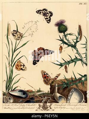 Dipinto di lady butterfly, Vanessa cardui, e marmoress o in marmo bianco, butterfly Melanargia galathea. Litografia Handcolored dopo una illustrazione da Mosè Harris da "l'aureliane; una storia naturale di inglese falene e farfalle", nuova edizione a cura di J. O. Westwood, pubblicato da Henry Bohn, Londra, 1840. Foto Stock