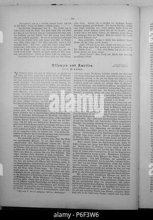 . Die Gartenlaube. Deutsch: Seite 210 aus 'Die Gartenlaube'. Inglese: pagina 210 da ufficiale Die Gartenlaube per 1897. Immagine estratta (eventuale): File:Die Gartenlaube (1897) b 210.jpg - hi res, 2,5 MB. Deutsch: keine Bildunterschrift inglese: nessuna didascalia . N/A 29 Die Gartenlaube (1897) 210 Foto Stock