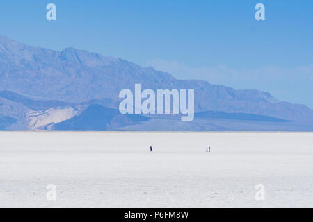 Bad bacino orizzontale sul giorno di sole ,parco nazionale della valle della morte,California , Stati Uniti d'America. Foto Stock