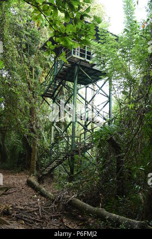 Torre di guardia all'interno di Kumarakom Bird Sanctuary, Kottayam. Foto Stock