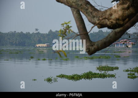 Emozionante Vista della casa di equitazione in barca nel lago Vembanad da Thanneermukkom bund. Foto Stock