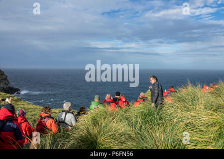 Expedition nave da crociera ai passeggeri l'ascolto il naturalista istruzioni al black-browed albatross colony a West Point Island, Isole Falkland. Foto Stock