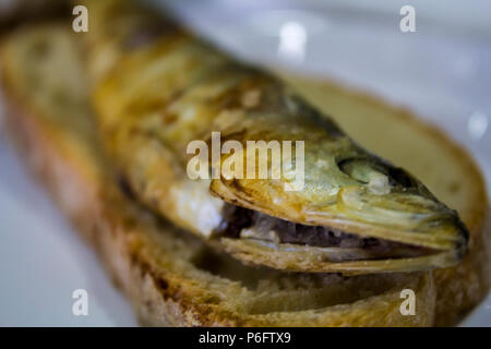 Sardine grigliate su un pezzo di pane Foto Stock