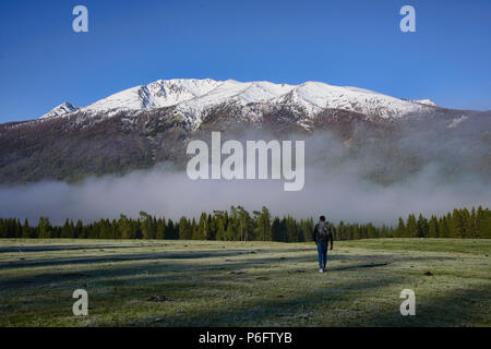 Trekking nel nord del deserto, Kanas Lake National Park, Xinjiang, Cina Foto Stock