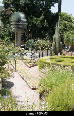 Mediterraneo giardino botanico, Soller, Mallorca, Spagna Europa Foto Stock