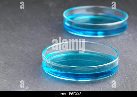Piastre di Petri di soluzione di solfato di rame (cloruro di rame) blu isolato di liquido sulla superficie di ardesia sfondo scuro con profondità di campo ridotta. Scienza s Foto Stock