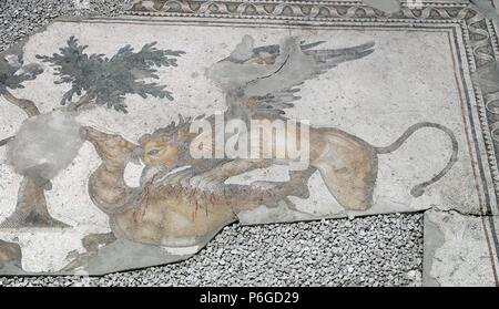 ARTE ROMANO. IMPERIO DE ORIENTE. TURQUIA. Detalle de uno de los mosaicos que decoraban los pavimentos del antiguo Palacio del Imperio Bizantino construido por Orden de Constantino (s. IV), llamado el Gran Palazzo Imperiale. Animale alado fantástico atancando onu ciervo. Fechado entre los siglos IV-VI. MUSEO DE LOS MOSAICOS. Estambul. Turquía. Foto Stock