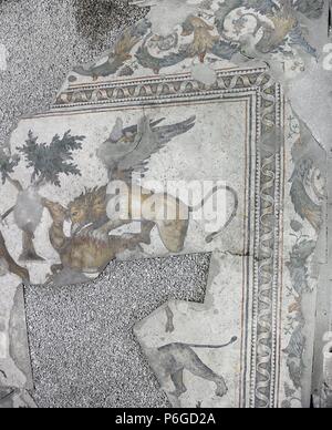 ARTE ROMANO. IMPERIO DE ORIENTE. TURQUIA. Detalle de uno de los mosaicos que decoraban los pavimentos del antiguo Palacio del Imperio Bizantino construido por Orden de Constantino (s. IV), llamado el Gran Palazzo Imperiale. Animale alado fantástico atancando onu ciervo. Fechado entre los siglos IV-VI. MUSEO DE LOS MOSAICOS. Estambul. Turquía. Foto Stock