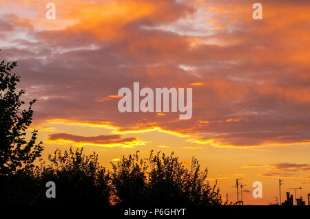 Stagliano alberi e antenne tv sui tetti in una cittadina inglese al tramonto Foto Stock