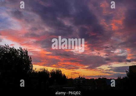 Stagliano alberi e antenne tv sui tetti in una cittadina inglese al tramonto Foto Stock