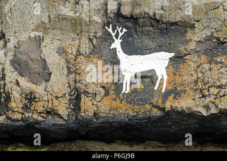 Famoso dipinto di bianco stag su roccia a feste di addio al celibato rocce, Bamburgh, Northumberland, Inghilterra Foto Stock
