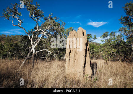 Tumuli di termite nel Parco Nazionale di Kakadu, territorio del Nord, Australia Foto Stock