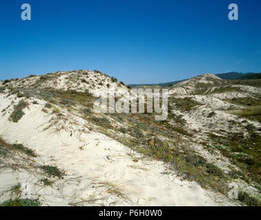 Spagna. La Galizia. Finisterre. Spiaggia di O rostro. Paesaggio di Dune con vegetazione. La Coruña provincia. "Costa da Morte" (Costa della morte). Foto Stock