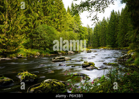 Fiume con pietre in acqua e la riflessione sul Creek e le nuvole del cielo nella foresta bavarese Foto Stock