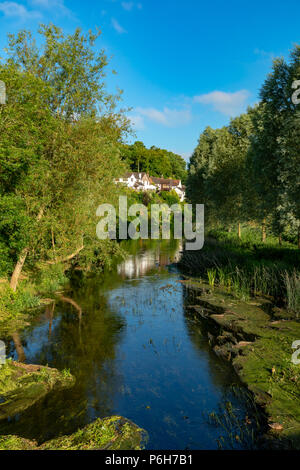 Spetisbury Dorset in Inghilterra il 30 giugno 2018 il fiume Stour Foto Stock