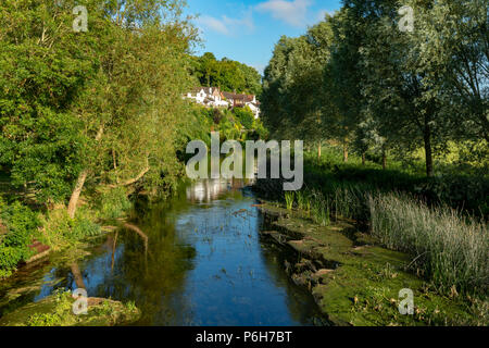 Spetisbury Dorset in Inghilterra il 30 giugno 2018 il fiume Stour Foto Stock