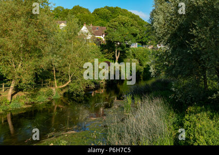 Spetisbury Dorset in Inghilterra il 30 giugno 2018 il fiume Stour Foto Stock