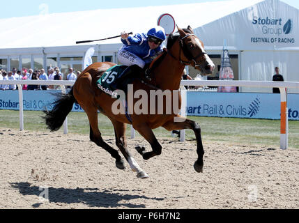 Trattenere cavalcato da Robert Winston vince la Stobart Rail & Civils Northumberland Handicap piastra di gara durante la piastra di Northumberland giorno a Newcastle Racecourse. Foto Stock