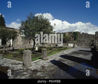 ARTE ROMANO. ITALIA. "CASA DEL FAUNO". "Domus" pompeyana cuya estructura effettiva se remonta al siglo II a. C. Vista generale del segundo PERISTILO, patio cuadrado con columnata dórica levantada alrededor del Jardín de la vivienda. POMPEYA. La Campania. Foto Stock