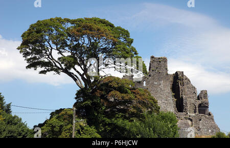 Il re Giovanni il castello del XII secolo il castello di Carlingford, penisola di Cooley, Co. Louth Foto Stock