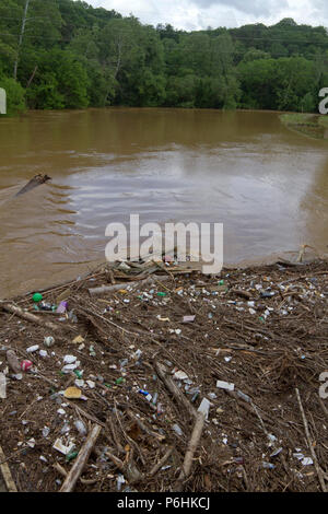 Tutti i tipi di umana prodotta dai detriti, come bottiglie di plastica e rami, legno e fango intasare e inquinare un fiume dopo un allagamento Foto Stock