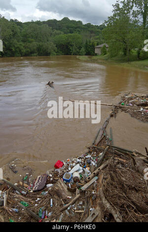 Tutti i tipi di umana prodotta dai detriti, come bottiglie di plastica e rami, legno e fango intasare e inquinare un fiume dopo un allagamento Foto Stock