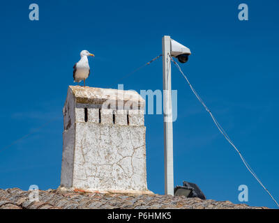 Cappella "Igreja de Nossa Senhora da Rocha ", Algarve, PORTOGALLO Foto Stock