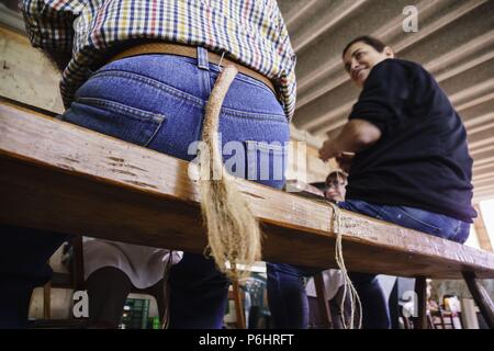 Tradicional matanza ,bromas con la cola del cerdo,llucmajor.Mallorca.Spagna. Foto Stock