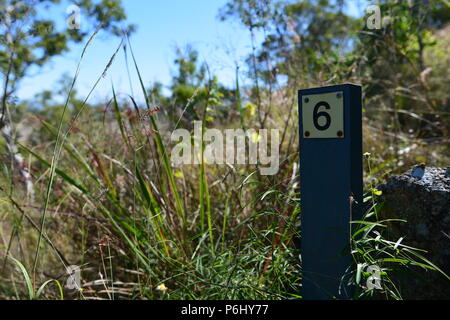 Numero 6 segno segnaletica indicatore, molti picchi di escursione al Monte Marlow, città di Townsville Queensland comune, 4810, Australia Foto Stock