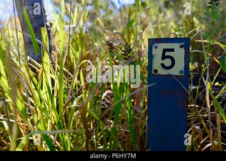 Numero 5 segno segnaletica indicatore, molti picchi di escursione al Monte Marlow, città di Townsville Queensland comune, 4810, Australia Foto Stock