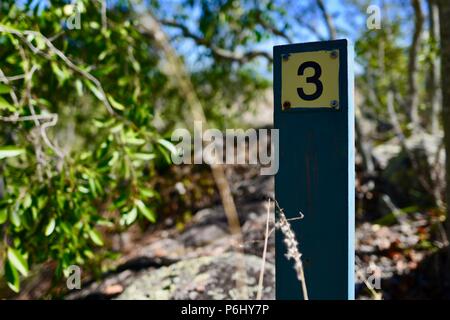 Numero 3 segno segnaletica indicatore, molti picchi di escursione al Monte Marlow, città di Townsville Queensland comune, 4810, Australia Foto Stock